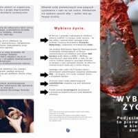 Ulotka: Alkohol Wybierz Życie (Dorośli)